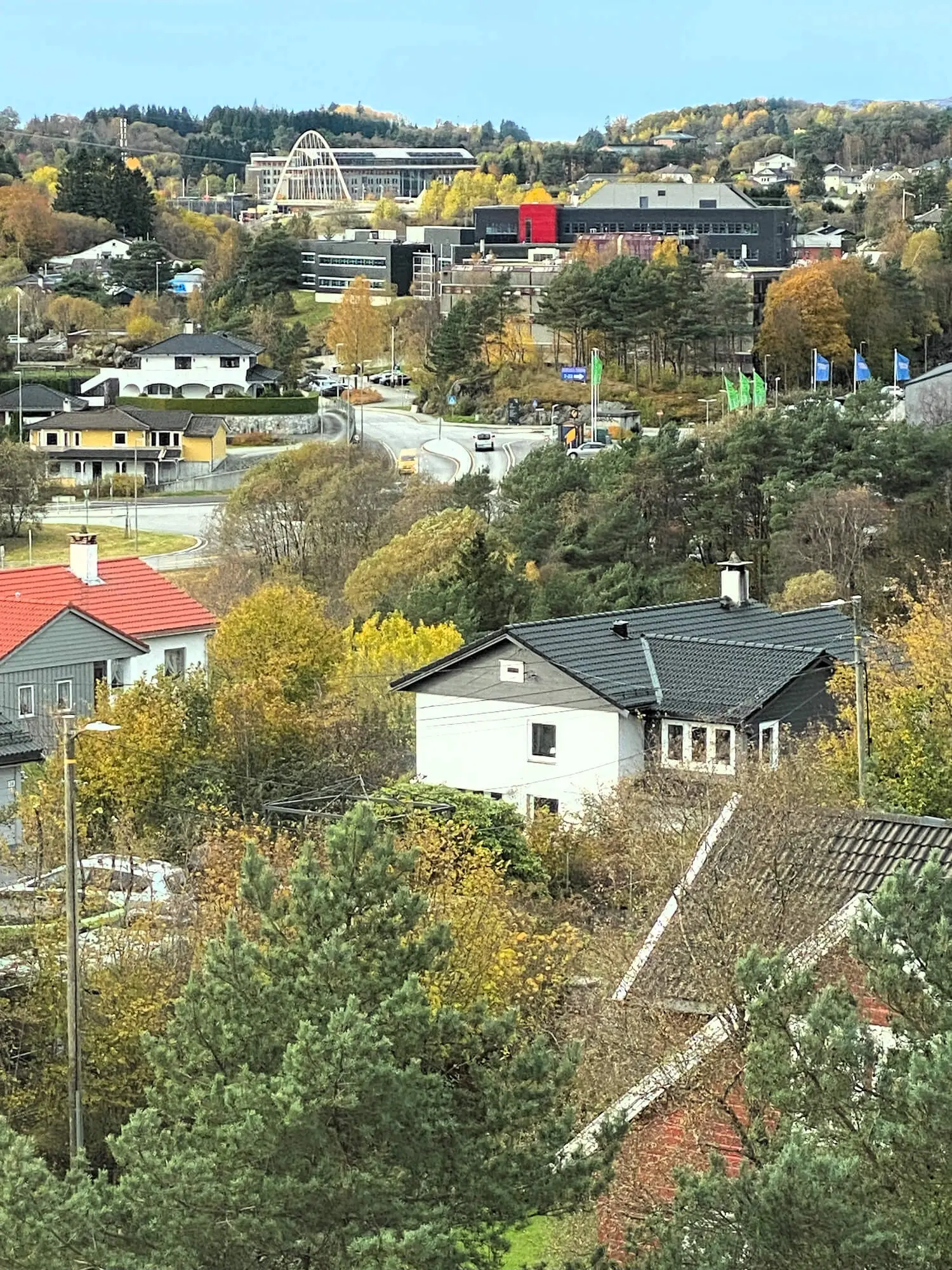 Houses nestled among autumn foliage