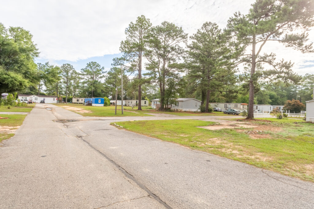 Albany - Loblolly-8